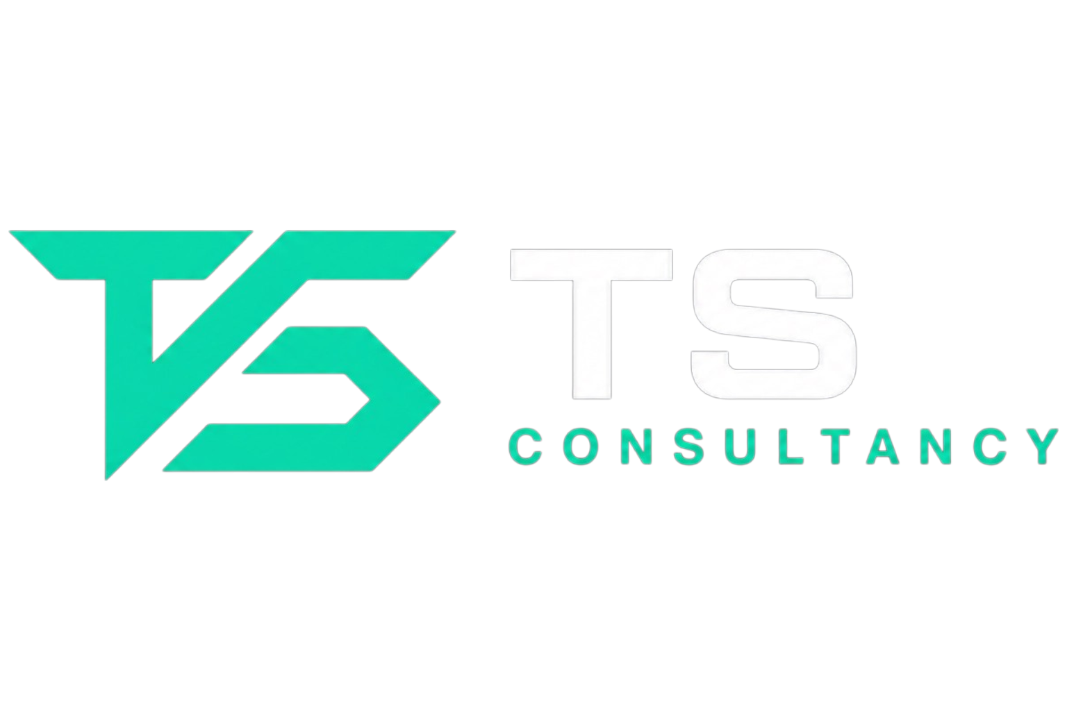 TS CONSULTANCY